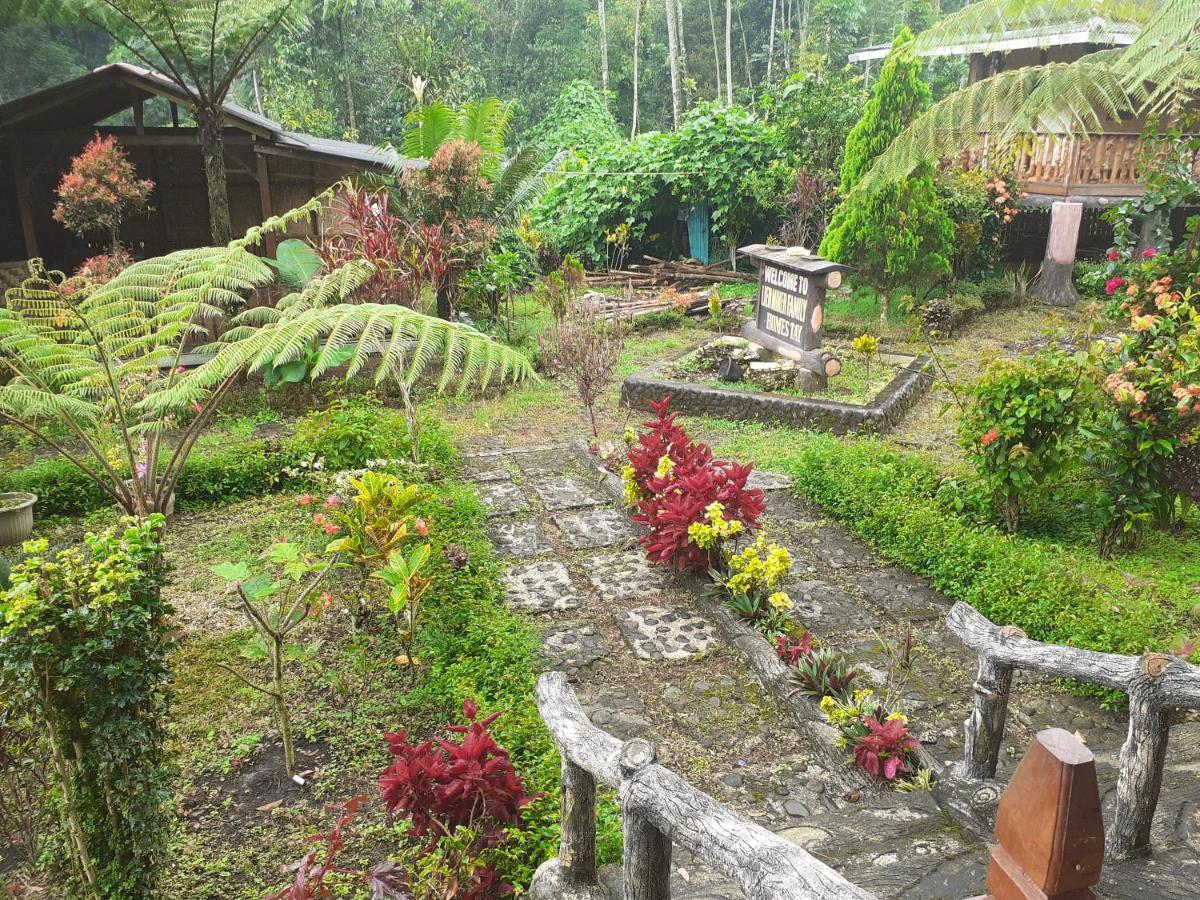 Ijen Miner Family Homestay Banyuwangi  Exterior photo