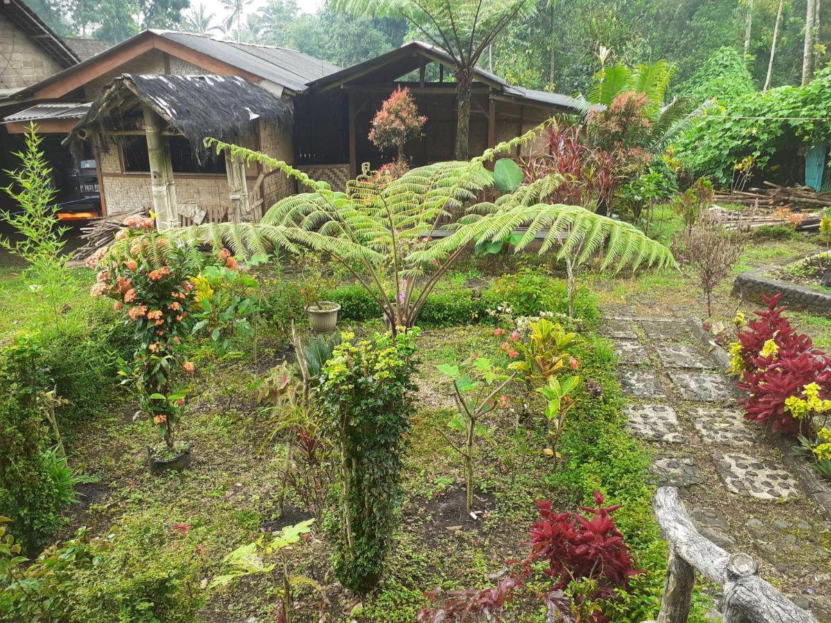 Ijen Miner Family Homestay Banyuwangi  Exterior photo